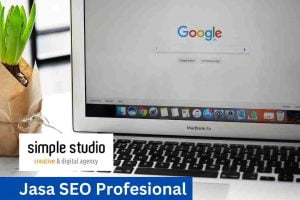 Jasa SEO Profesional Bergaransi Terbaik untuk Website dan Landing Page, HP/WA : 0812-8033-0644