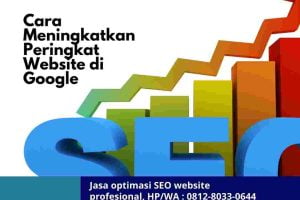 Pakar SEO : Cara Meningkatkan Peringkat Website di Google